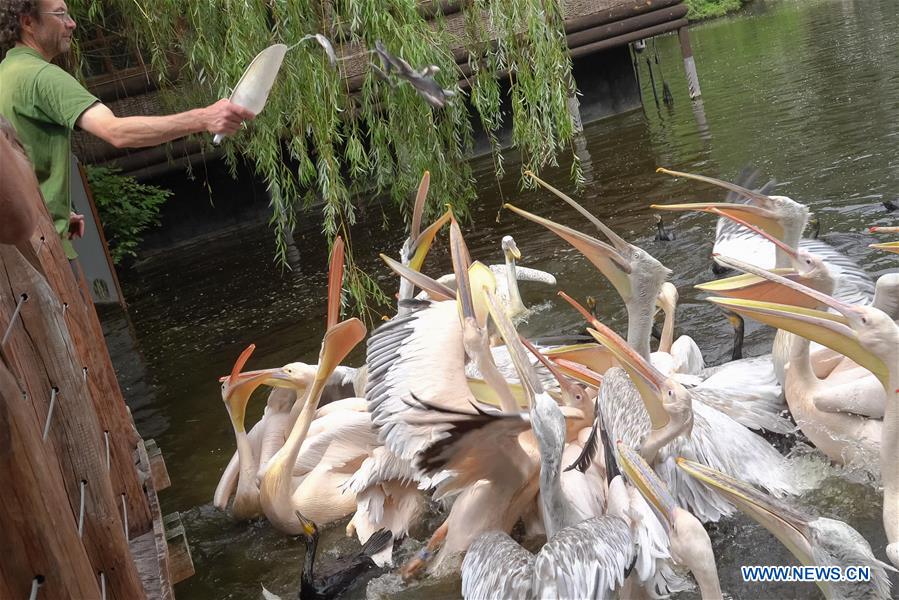 HUNGARY-BUDAPEST-ZOO ANIMAL FEEDING
