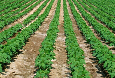 多項改革齊發力 農村有望迸發新活力