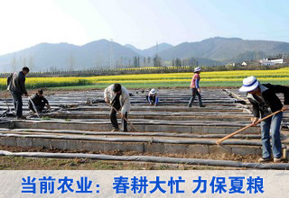 當(dāng)前農(nóng)業(yè)生產(chǎn)形勢:春耕大忙 力保夏糧