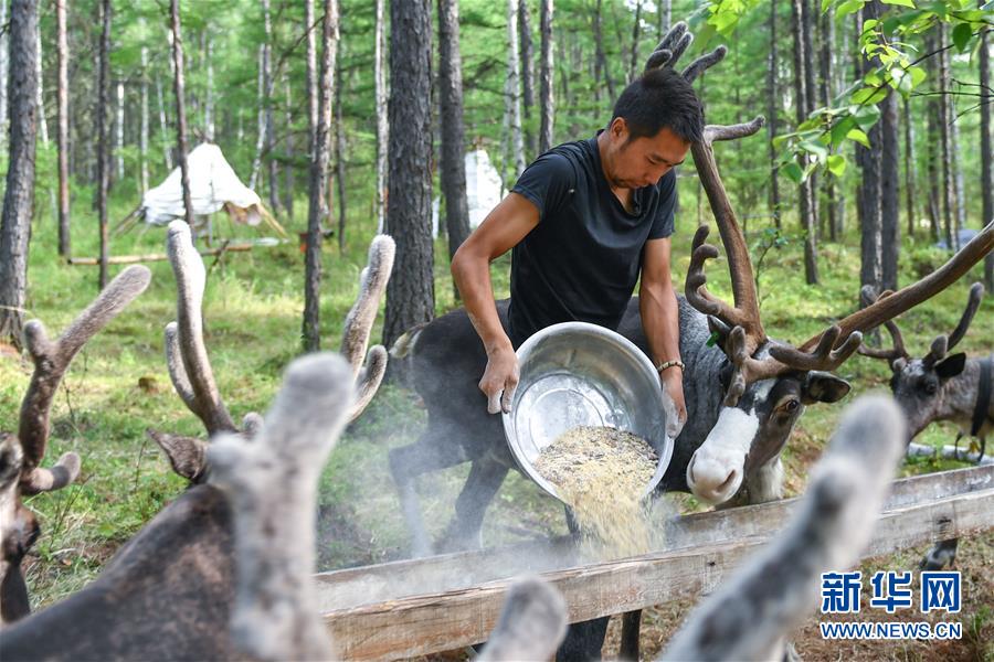 【聚焦脫貧攻堅】這組數字，來之不易