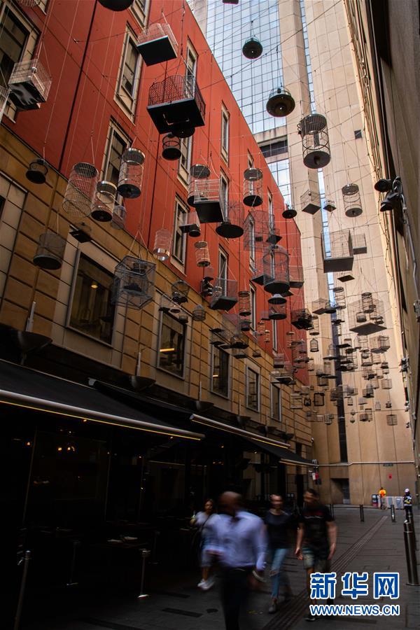 (國(guó)際)(2)尋找悉尼空中的旋律