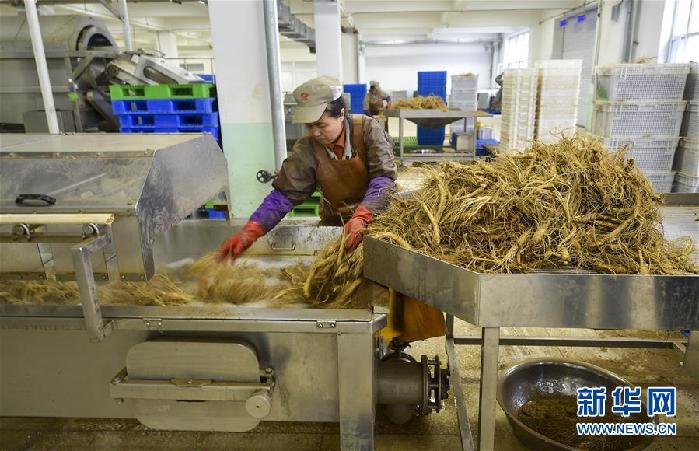 （百城百縣百企調研行·圖文互動）（5）吉林集安：邊陲“綠色明珠”為何如此閃亮？