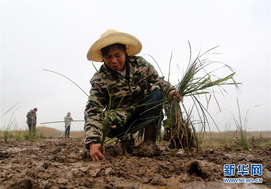 （新華視點·回望2018·圖文互動）（3）2018年新華社曝光多起破壞生態事件，記者年底追訪發現……
