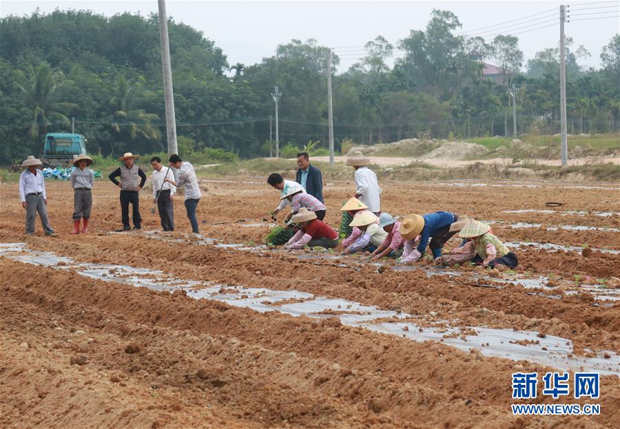 （新華視點·回望2018·圖文互動）（7）2018年新華社曝光多起破壞生態事件，記者年底追訪發現……