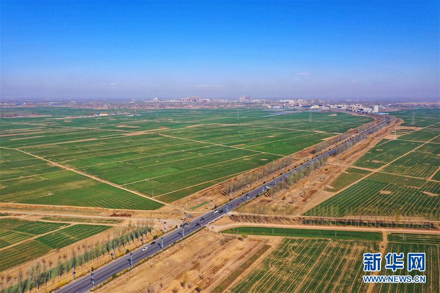 （新華全媒頭條·圖文互動）（2）奮進(jìn)，向著未來之城！——河北雄安新區(qū)建設(shè)發(fā)展兩周年紀(jì)實(shí)
