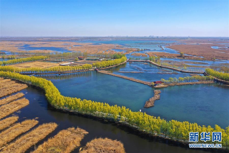 （新華全媒頭條·圖文互動）（5）奮進(jìn)，向著未來之城！——河北雄安新區(qū)建設(shè)發(fā)展兩周年紀(jì)實(shí)