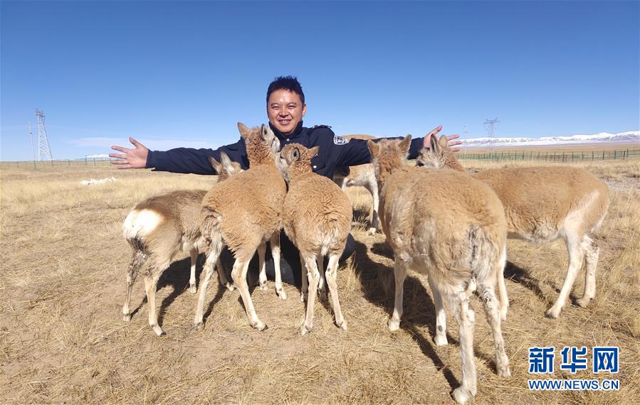 (愛國情 奮斗者)(1)藏族巡山隊員龍周才加:把青春留在可可西里