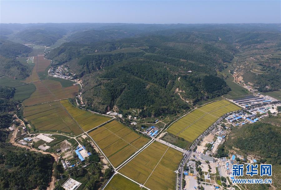 （圖文互動）（1）今日延安：“對照過去我認不出了你”——紅色圣地的生態交響曲