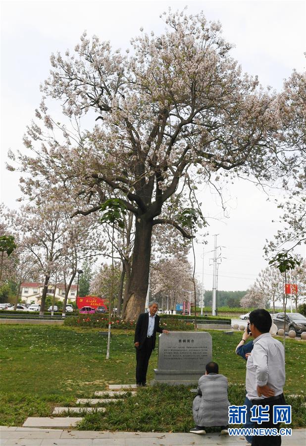 （壯麗70年·奮斗新時代·圖文互動）（6）以改革創新實現縣域新治——河南蘭考縣域治理樣本觀察