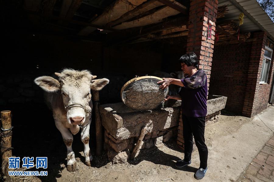 (圖文互動)(2)一條38年的生命通道:媽媽會一直把你當作“雛鳥”