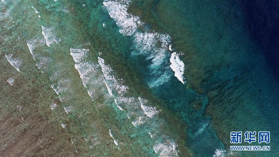 （壯麗70年·奮斗新時代·新華全媒頭條·圖文互動）（2）“你在我的航程上，我在你的視線里”——走進(jìn)海軍西沙中建島官兵的五彩世界