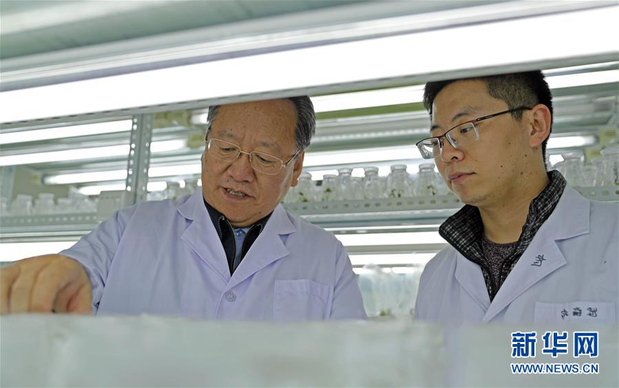 （新華全媒頭條·圖文互動）（2）和蔬菜“說話”的人——中國工程院院士李天來的“棚菜人生”