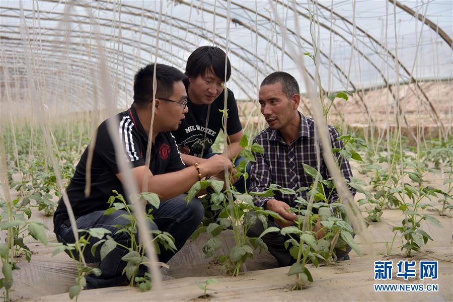 （新華全媒頭條·圖文互動）（10）同心援疆，“壯闊”祖國西北角