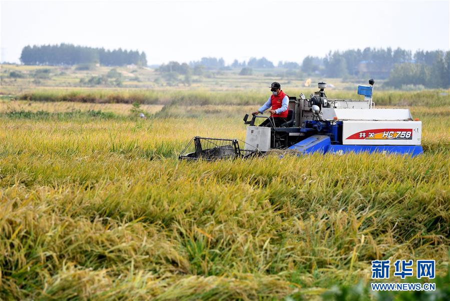 (壯麗70年·奮斗新時代——共和國發展成就巡禮·圖文互動)(3)安徽70年:改革創新書寫時代答卷