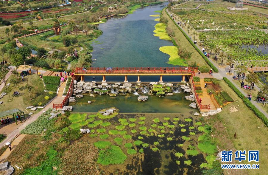 （壯麗70年 奮斗新時(shí)代——推動高質(zhì)量發(fā)展調(diào)研行·圖文互動）（4）亮出一江清水優(yōu)質(zhì)“成績單”——廣西重點(diǎn)流域水環(huán)境綜合治理觀察