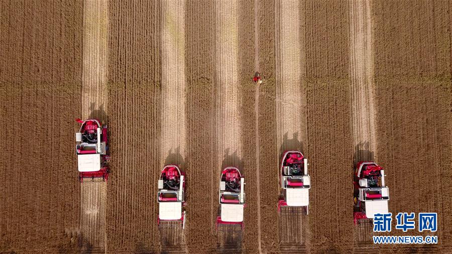 (“中國之度”系列述評·圖文互動)(8)中國速度——新中國成立70周年成就述評之三