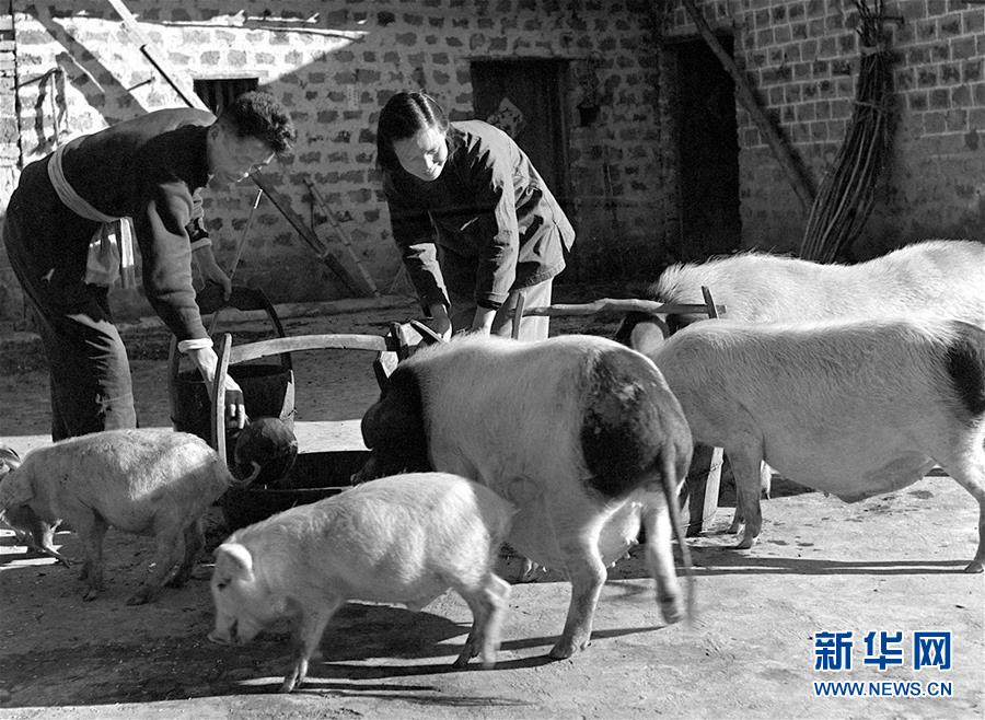 (紅土地“往事新說”·圖文互動)(5)萬里征途為初心 夫妻接力踐使命