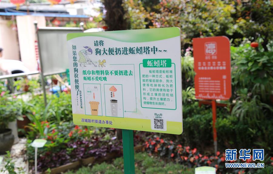 (新華全媒頭條·圖文互動)(5)上海:“三只桶”里看變化