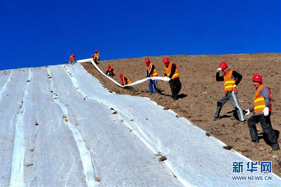 (新華全媒頭條·圖文互動)(6)綠色的啟示——西部地區生態問題典型個案再調查