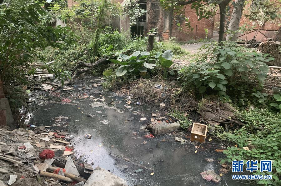 （圖文互動）（1）河長職責寫得明明白白，條條舉措無一落實——國務院檢查組暗訪核查佛山一農村河涌黑臭十余年無人管理