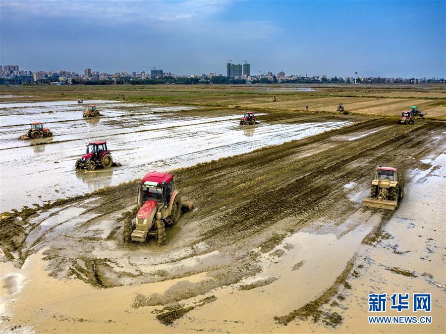 （圖文互動(dòng)）讓“世界工廠(chǎng)”心不慌——廣東春耕生產(chǎn)見(jiàn)聞