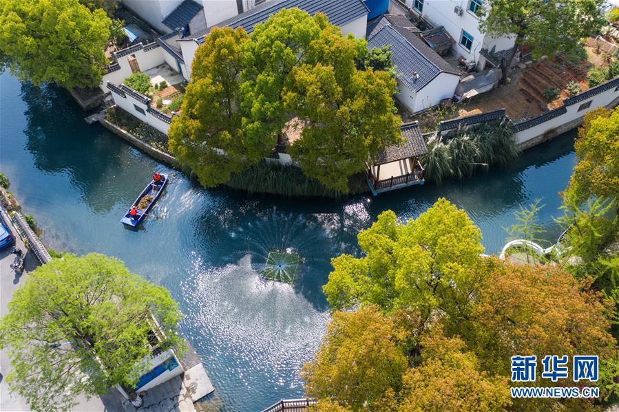 (新華全媒頭條·圖文互動)(9)永遠的夢想 永恒的追求——寫在北京世園會開幕一周年之際