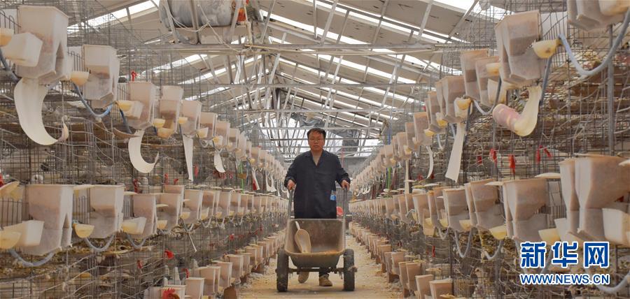 (新華全媒頭條·兩會精神看落實·圖文互動)(1)努力讓群眾看到變化得到實惠——落實全國兩會精神持續(xù)保障和改善民生述評