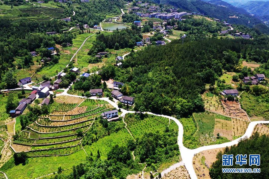 （新華全媒頭條·圖文互動）（11）待到滿山紅葉時——三峽重慶庫區踐行新發展理念面面觀