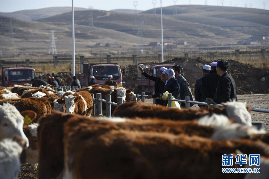 （在習(xí)近平新時(shí)代中國(guó)特色社會(huì)主義思想指引下——新時(shí)代新作為新篇章·習(xí)近平總書記關(guān)切事·圖文互動(dòng)）（2）六盤山下的誓言——來(lái)自寧夏的脫貧故事