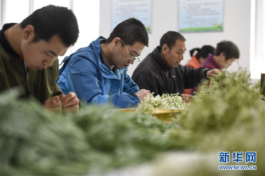 （在習(xí)近平新時(shí)代中國(guó)特色社會(huì)主義思想指引下——新時(shí)代新作為新篇章·習(xí)近平總書記關(guān)切事·圖文互動(dòng)）（5）六盤山下的誓言——來(lái)自寧夏的脫貧故事