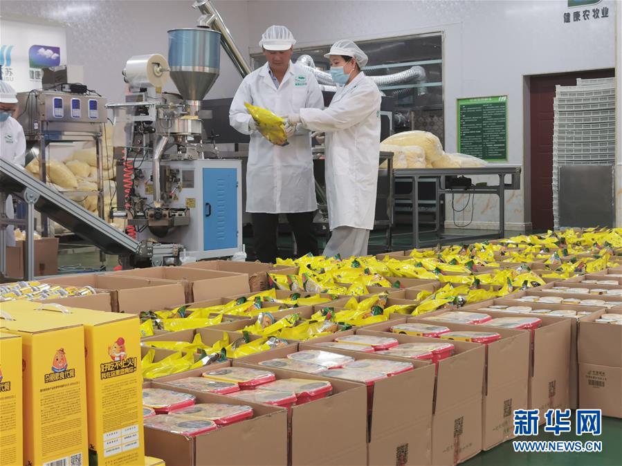 (決戰決勝脫貧攻堅·圖文互動)玉米“變形”記