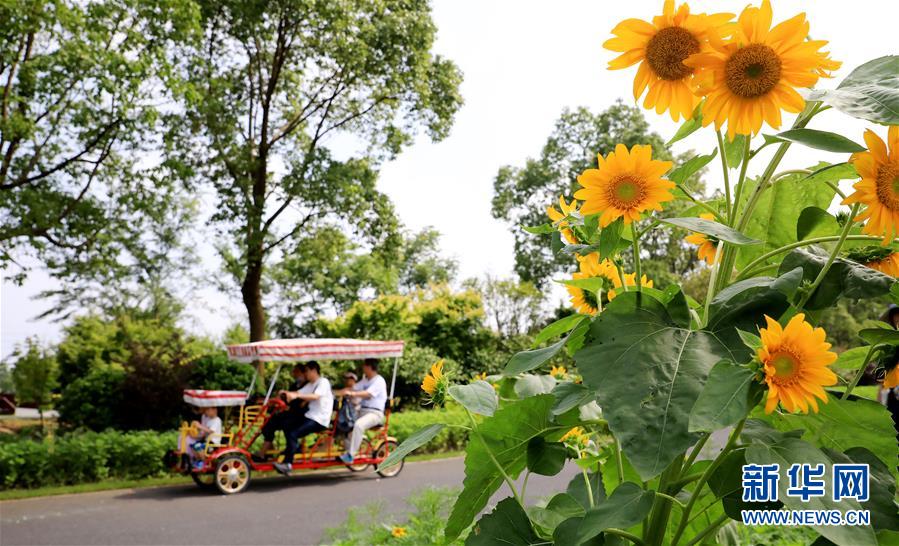 （新華全媒頭條·走向我們的小康生活·圖文互動(dòng)）（13）城市，讓人民生活更美好