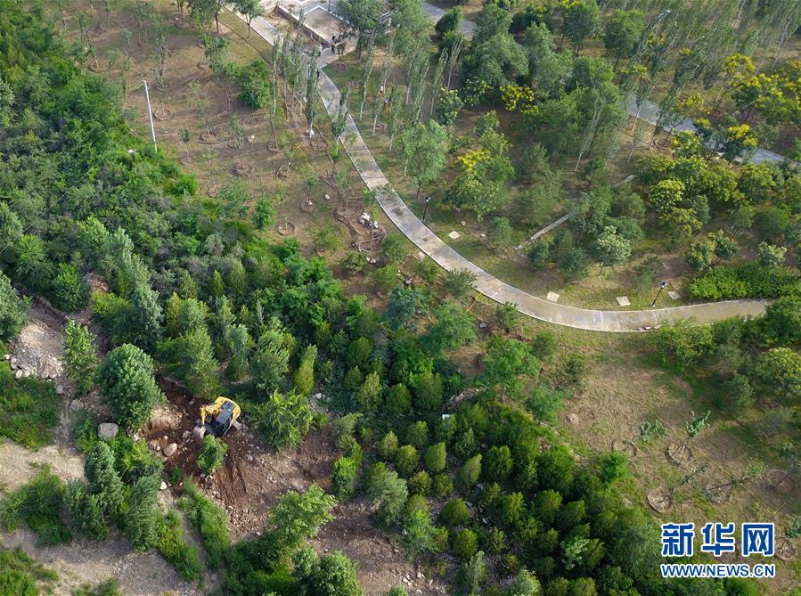 (新華全媒頭條·圖文互動)(15)扎實推進籌辦,不負青春韶華——北京冬奧會籌辦備戰克服疫情影響平穩推進