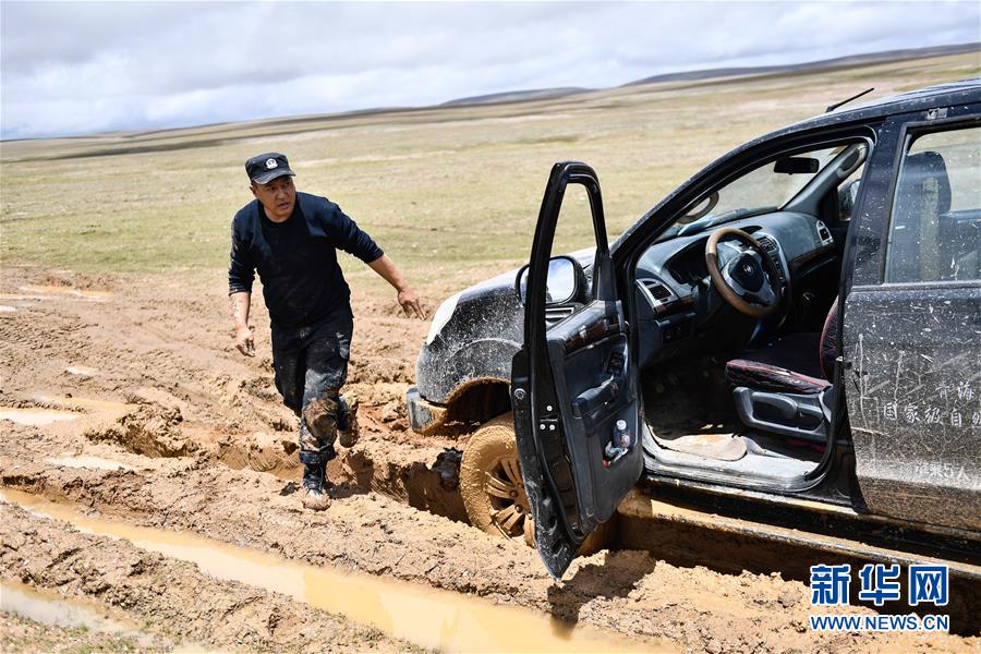 (圖文互動)(3)記者手記:可可西里,“挪”向“藏羚羊大產房”的14個半小時