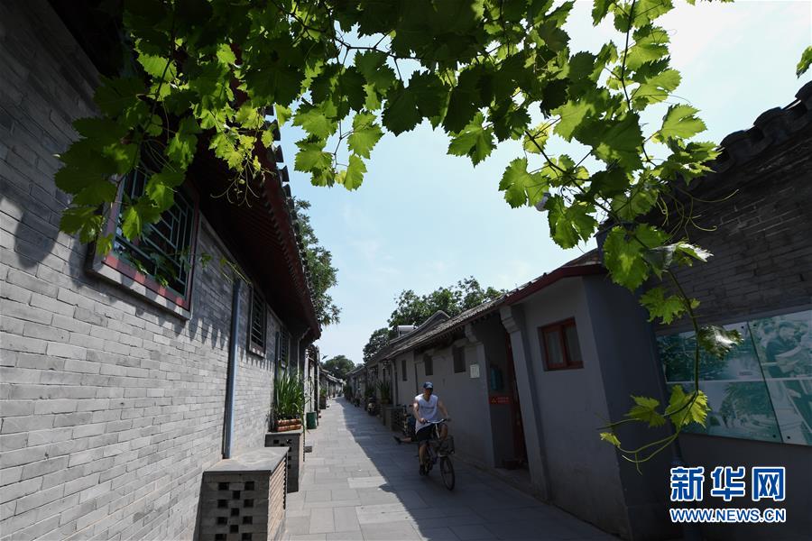 （走向我們的小康生活·圖文互動）（1）小橋、流水、書香、人家——老北京胡同里的恬靜棲居