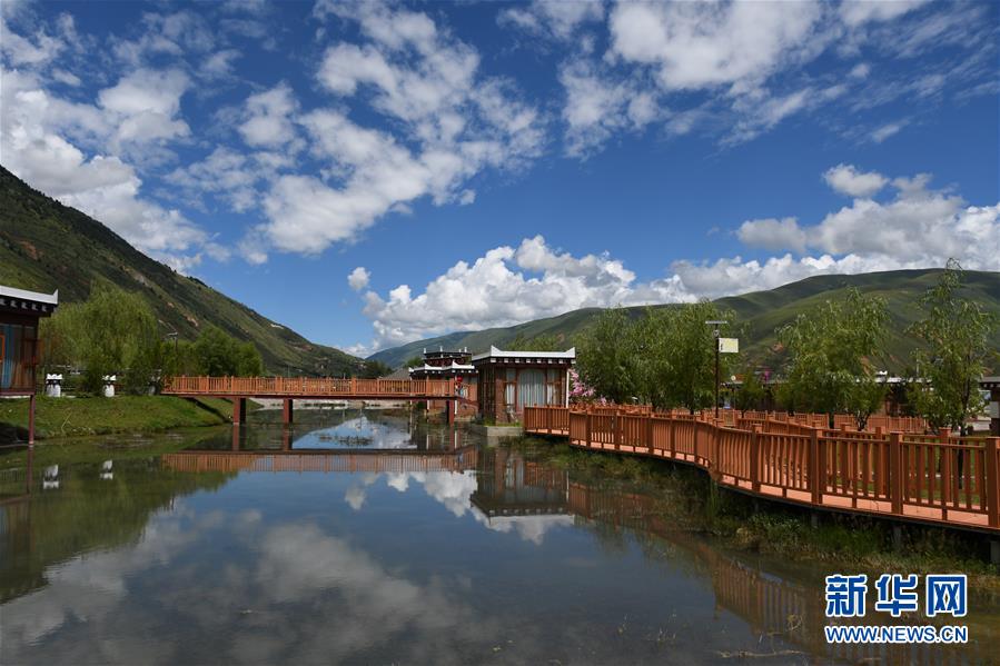 (鄉村振興·圖文互動)(1)村里來了位“掏糞書記”