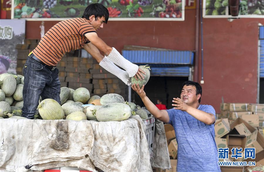 (決戰決勝脫貧攻堅·圖文互動)(2)“窮”鄉富戶的販瓜生意經