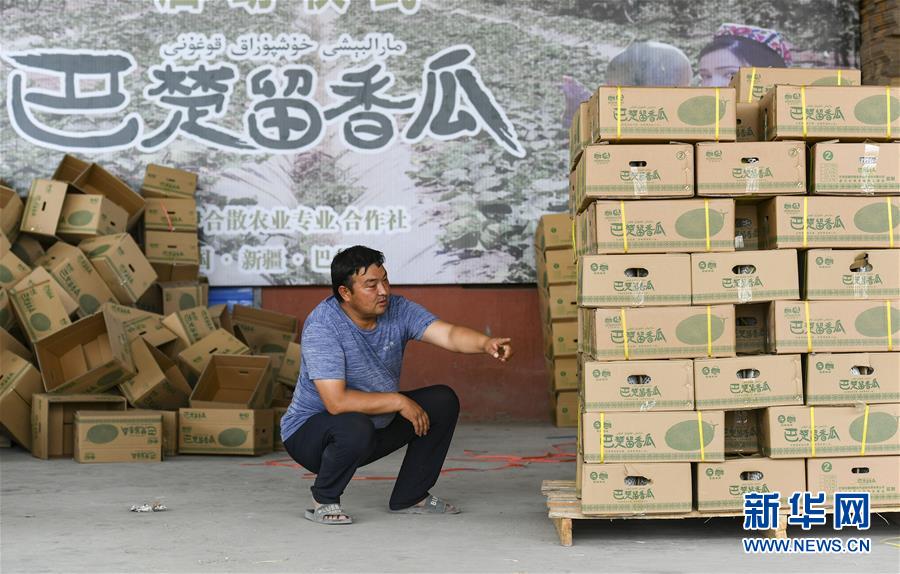 (決戰決勝脫貧攻堅·圖文互動)(3)“窮”鄉富戶的販瓜生意經