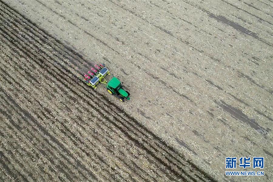 (新華全媒頭條·圖文互動)(11)為現代農業探新路——來自吉林梨樹的田野報告