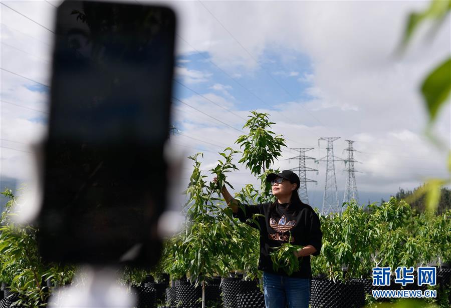 （決戰決勝脫貧攻堅·督戰未摘帽貧困縣·圖文互動）（4）12000多個“火種”點亮大涼山