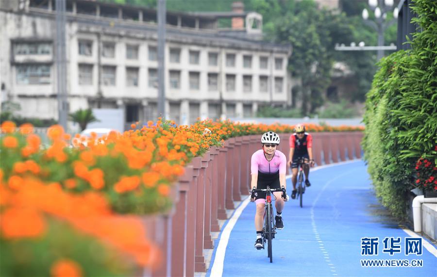 (新華全媒頭條·圖文互動)(8)西部有個新的“圈”——成渝加快雙城經濟圈建設