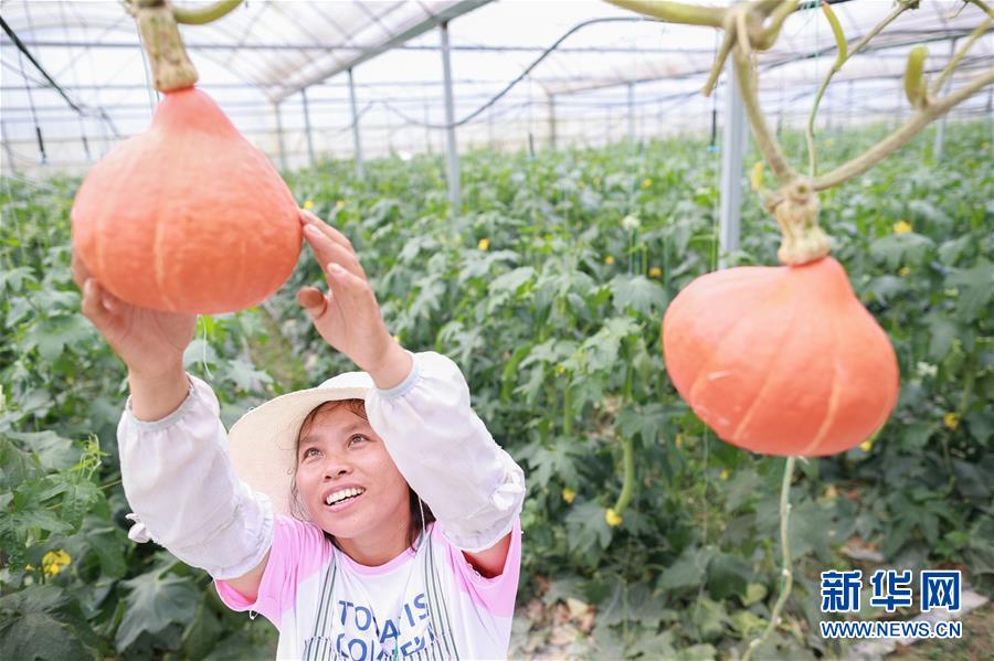 (走向我們的小康生活·決戰(zhàn)決勝脫貧攻堅(jiān)·圖文互動(dòng))(2)麻山突圍記