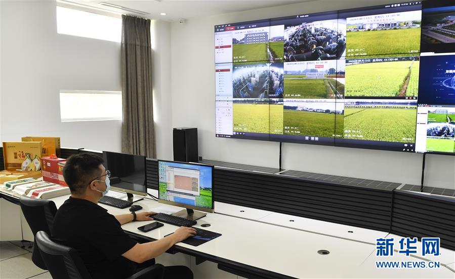 （新華全媒頭條·走向我們的小康生活·圖文互動）（4）黑土地上是我家——在吉林，一瞥中國東北鄉(xiāng)村美麗未來