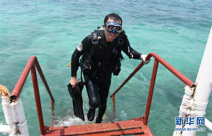 (在習近平新時代中國特色社會主義思想指引下——新時代新作為新篇章·習近平總書記關切事·圖文互動)(5)終不悔為國為民,攀高峰只爭朝夕——來自科學家們的動人故事