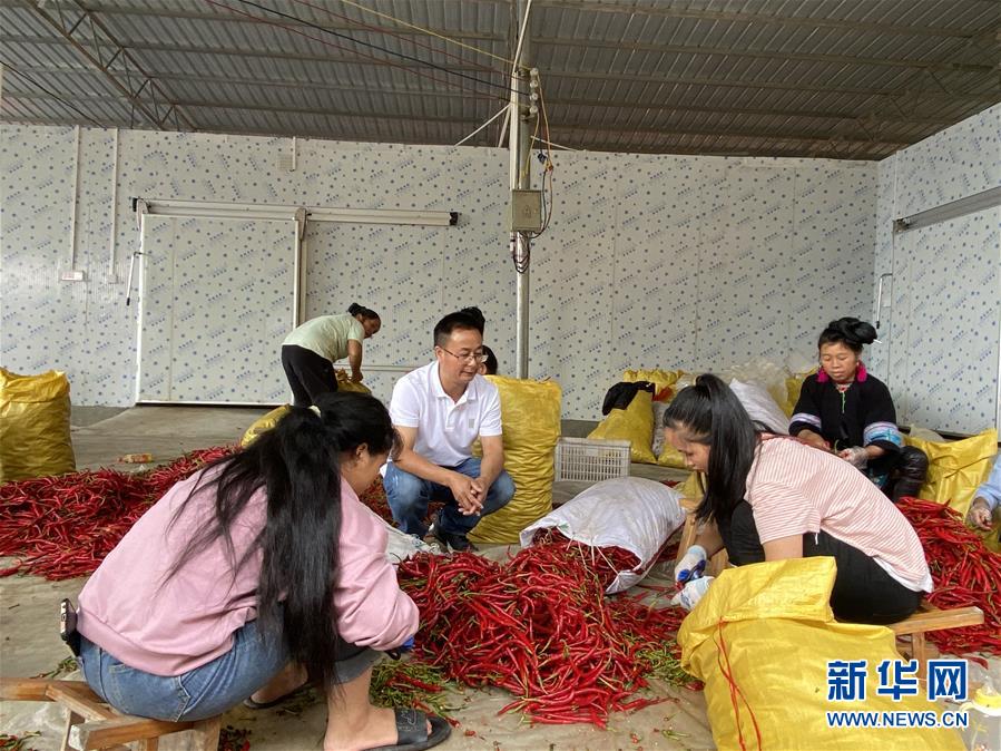 (新華全媒頭條·決戰(zhàn)決勝脫貧攻堅(jiān)·督戰(zhàn)未摘帽貧困縣·圖文互動(dòng))(6)把“最能打的人”放在最需要的地方——聚焦貴州未脫貧縣里的“助攻干部”