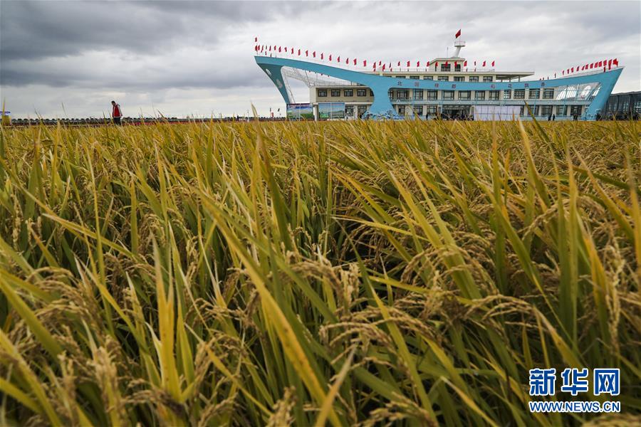 (新華全媒頭條·圖文互動(dòng))(1)天道酬勤的大地贊歌——寫在第三個(gè)中國農(nóng)民豐收節(jié)之際
