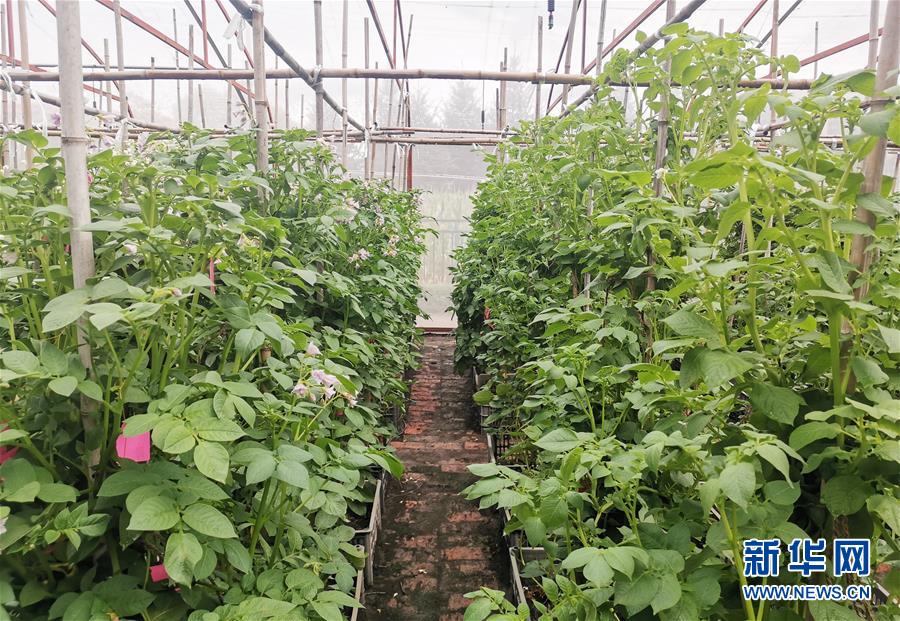 (新華全媒頭條·圖文互動(dòng))(8)天道酬勤的大地贊歌——寫在第三個(gè)中國農(nóng)民豐收節(jié)之際