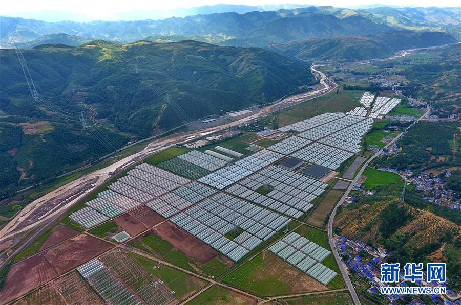 （走向我們的小康生活·決戰決勝脫貧攻堅·圖文互動）（2）把產業興盛之“根”扎進大涼山