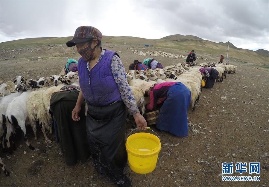 （新華全媒頭條·走向我們的小康生活·決戰決勝脫貧攻堅·圖文互動）（2）兩次遷徙“搬窮”記——海拔最高縣雙湖的“戰貧故事”