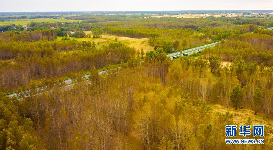 (在習(xí)近平新時代中國特色社會主義思想指引下——新時代新作為新篇章·習(xí)近平總書記關(guān)切事·圖文互動)(3)綠意,在黃沙中鋪展——我國防沙治沙紀(jì)實
